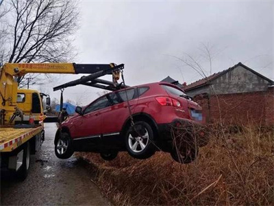 丹棱楚雄道路救援